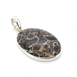 Rare Turritella Agate Statement Pendant