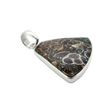Rare Turritella Agate Statement Pendant