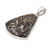 Rare Turritella Agate Statement Pendant