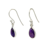 Small Tear Drop Dangling Earrings