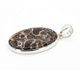Rare Turritella Agate Statement Pendant
