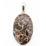 Rare Turritella Agate Statement Pendant