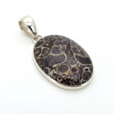 Rare Turritella Agate Statement Pendant