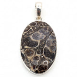 Rare Turritella Agate Statement Pendant