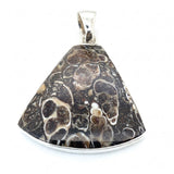Rare Turritella Agate Statement Pendant
