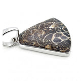 Rare Turritella Agate Statement Pendant
