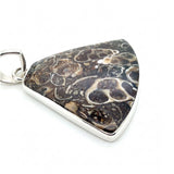 Rare Turritella Agate Statement Pendant