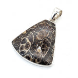 Rare Turritella Agate Statement Pendant