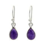 Small Tear Drop Dangling Earrings