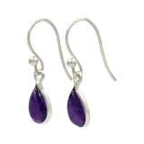 Small Tear Drop Dangling Earrings